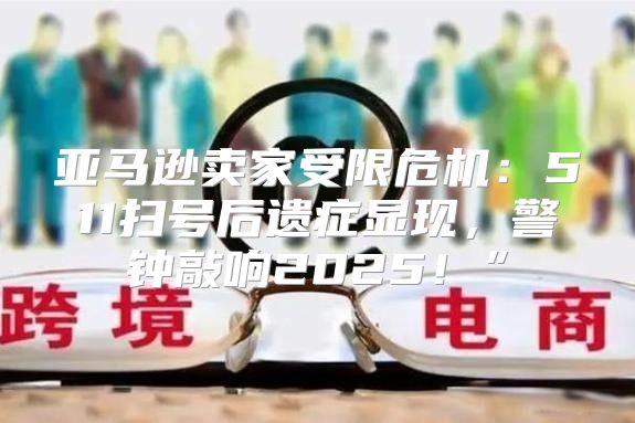 亚马逊卖家受限危机：511扫号后遗症显现，警钟敲响2025！”