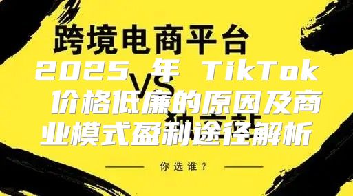 2025 年 TikTok 价格低廉的原因及商业模式盈利途径解析
