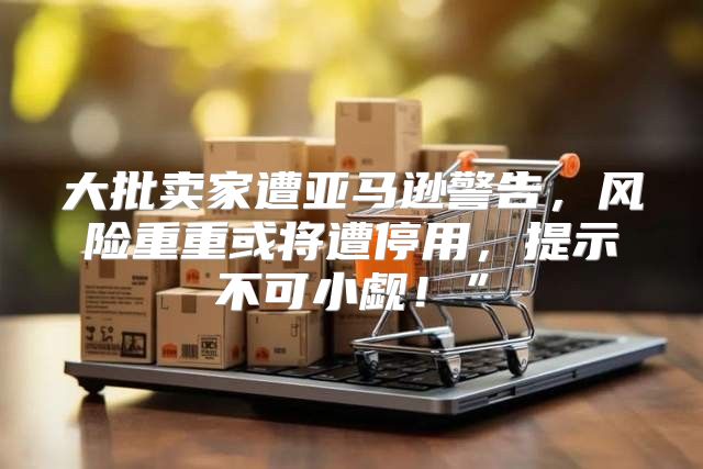 大批卖家遭亚马逊警告，风险重重或将遭停用，提示不可小觑！”