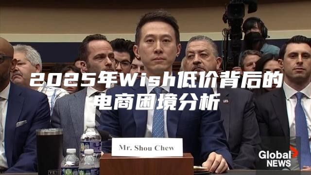 2025年Wish低价背后的电商困境分析