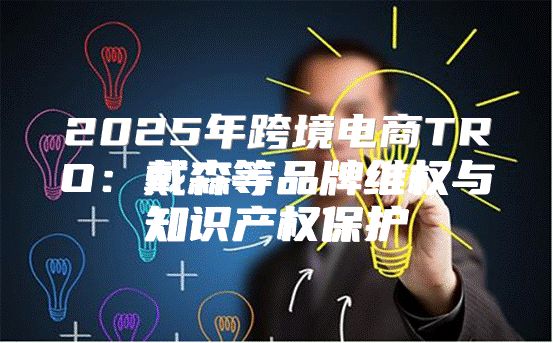 2025年跨境电商TRO：戴森等品牌维权与知识产权保护