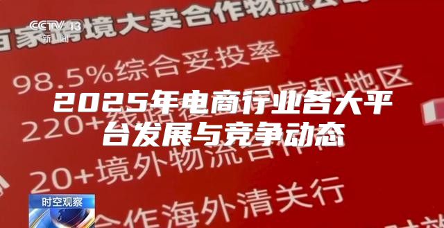 2025年电商行业各大平台发展与竞争动态