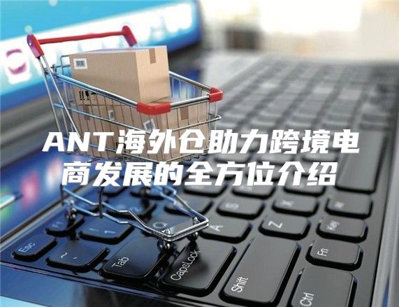 ANT海外仓助力跨境电商发展的全方位介绍