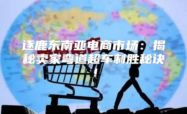 逐鹿东南亚电商市场：揭秘卖家弯道超车制胜秘诀！