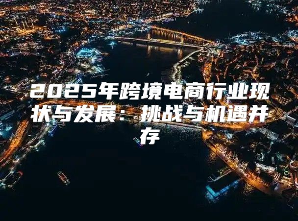 2025年跨境电商行业现状与发展：挑战与机遇并存