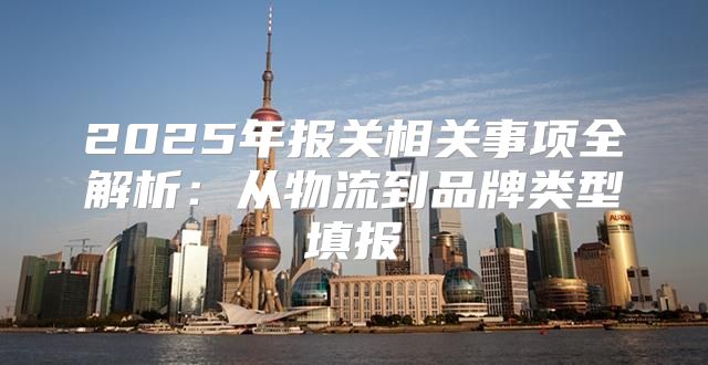 2025年报关相关事项全解析：从物流到品牌类型填报