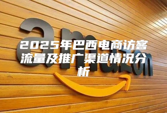 2025年巴西电商访客流量及推广渠道情况分析