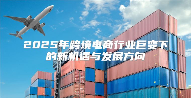2025年跨境电商行业巨变下的新机遇与发展方向