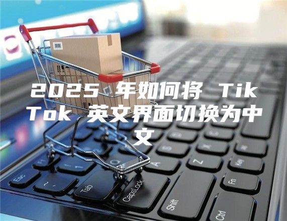 2025 年如何将 TikTok 英文界面切换为中文