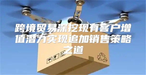 跨境贸易深挖现有客户增值潜力实现追加销售策略之道
