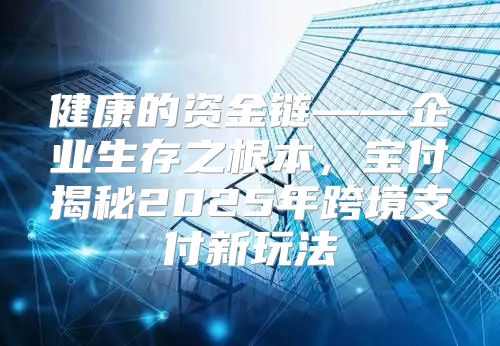 健康的资金链——企业生存之根本，宝付揭秘2025年跨境支付新玩法