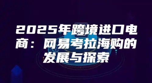 2025年跨境进口电商：网易考拉海购的发展与探索