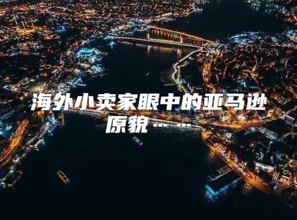 海外小卖家眼中的亚马逊原貌……