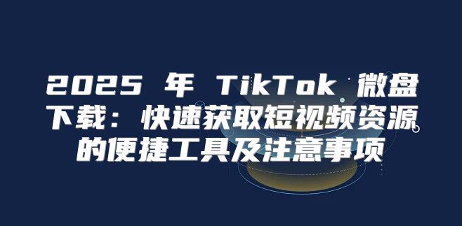 2025 年 TikTok 微盘下载：快速获取短视频资源的便捷工具及注意事项