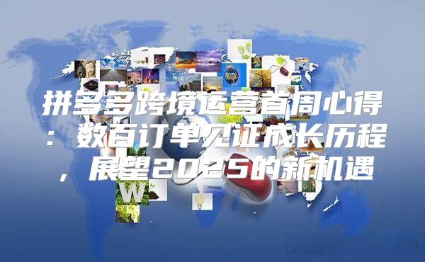 拼多多跨境运营首周心得：数百订单见证成长历程，展望2025的新机遇