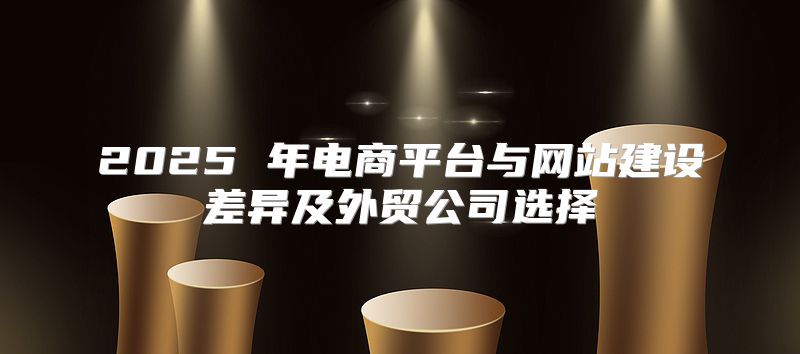 2025 年电商平台与网站建设差异及外贸公司选择