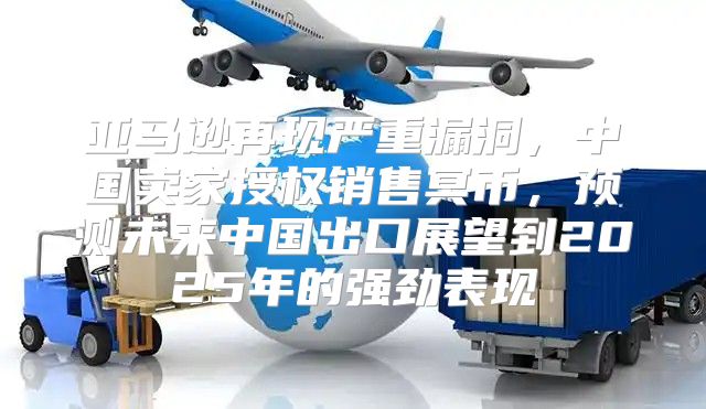 亚马逊再现严重漏洞，中国卖家授权销售冥币，预测未来中国出口展望到2025年的强劲表现