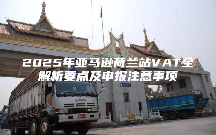 2025年亚马逊荷兰站VAT全解析要点及申报注意事项