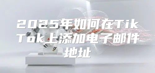 2025年如何在TikTok上添加电子邮件地址