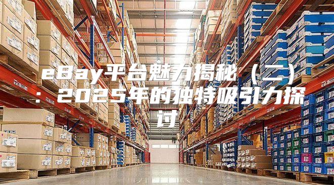 eBay平台魅力揭秘二：2025年的独特吸引力探讨