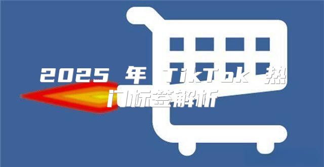 2025 年 TikTok 热门标签解析