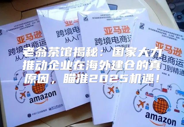 老翁茶馆揭秘：国家大力推动企业在海外建仓的真原因，瞄准2025机遇！