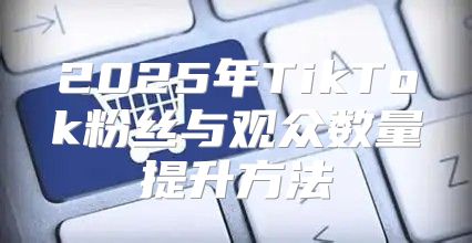 2025年TikTok粉丝与观众数量提升方法