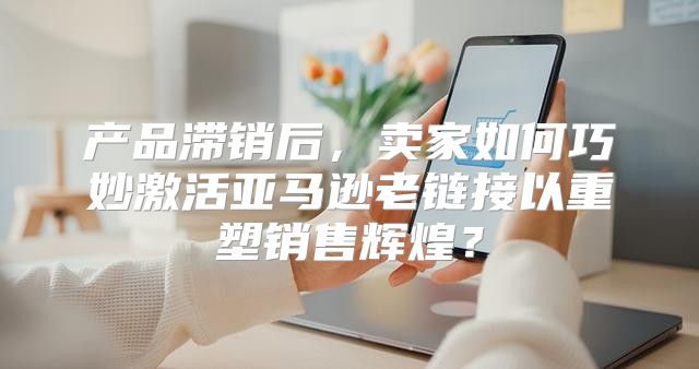 产品滞销后，卖家如何巧妙激活亚马逊老链接以重塑销售辉煌？