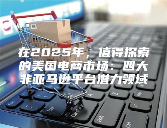 在2025年，值得探索的美国电商市场：四大非亚马逊平台潜力领域