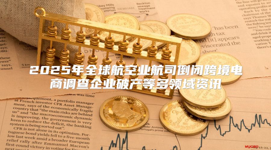 2025年全球航空业航司倒闭跨境电商调查企业破产等多领域资讯