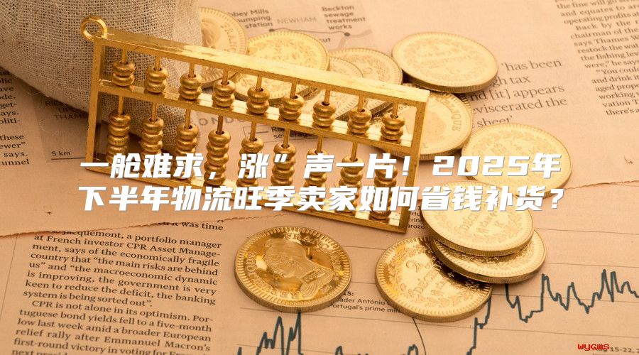 一舱难求，涨”声一片！2025年下半年物流旺季卖家如何省钱补货？