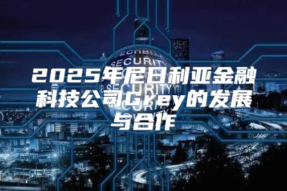 2025年尼日利亚金融科技公司Grey的发展与合作
