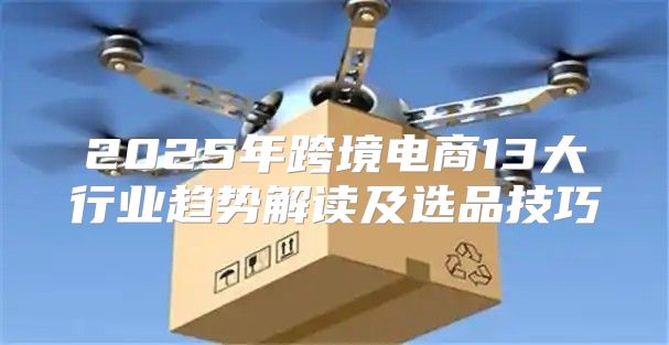 2025年跨境电商13大行业趋势解读及选品技巧