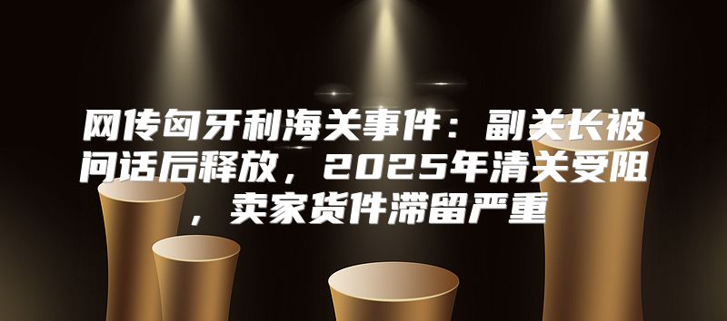 网传匈牙利海关事件：副关长被问话后释放，2025年清关受阻，卖家货件滞留严重