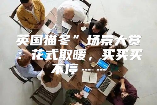 英国猫冬”场景大赏：花式取暖，买买买不停……