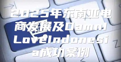 2025年东南亚电商发展及DamnILoveIndonesia成功案例