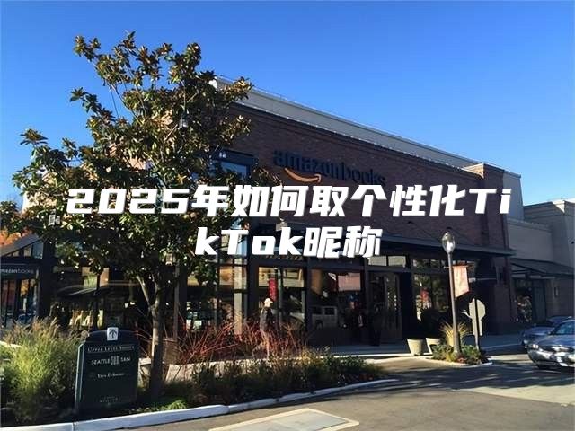 2025年如何取个性化TikTok昵称