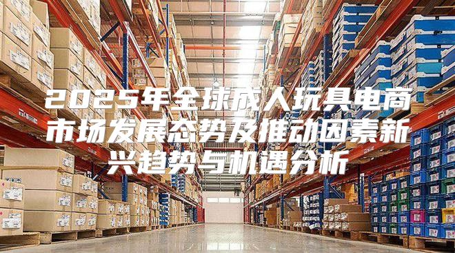 2025年全球成人玩具电商市场发展态势及推动因素新兴趋势与机遇分析