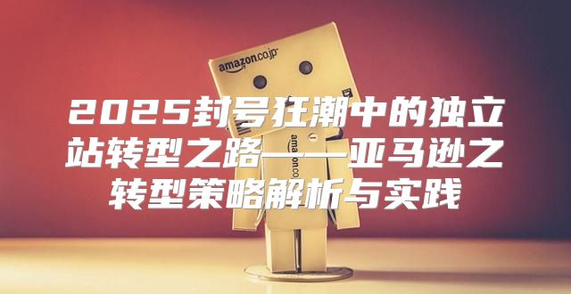 2025封号狂潮中的独立站转型之路——亚马逊之转型策略解析与实践
