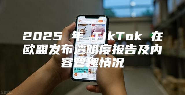 2025 年 TikTok 在欧盟发布透明度报告及内容管理情况