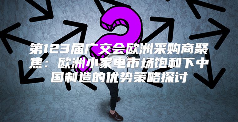 第123届广交会欧洲采购商聚焦：欧洲小家电市场饱和下中国制造的优势策略探讨