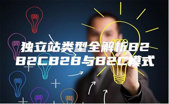 独立站类型全解析B2B2CB2B与B2C模式