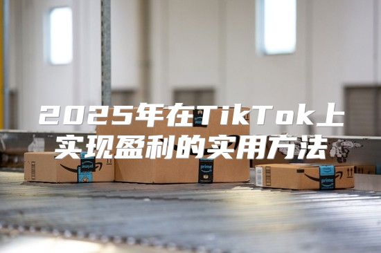2025年在TikTok上实现盈利的实用方法