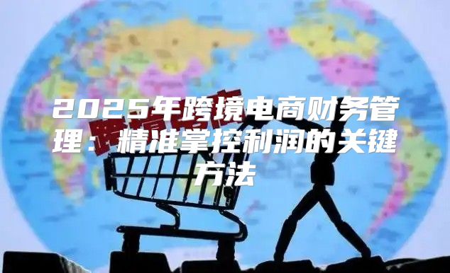2025年跨境电商财务管理：精准掌控利润的关键方法