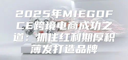 2025年MIEGOFCE跨境电商成功之道：抓住红利期厚积薄发打造品牌