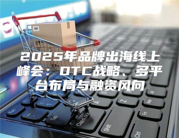 2025年品牌出海线上峰会：DTC战略、多平台布局与融资风向