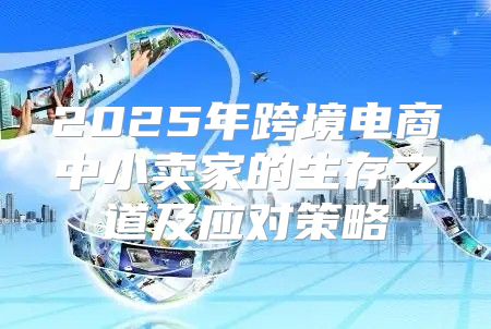 2025年跨境电商中小卖家的生存之道及应对策略
