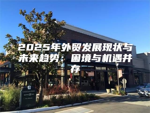 2025年外贸发展现状与未来趋势：困境与机遇并存