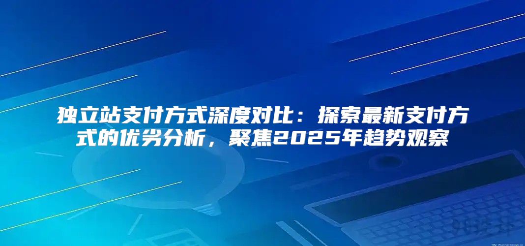 独立站支付方式深度对比：探索最新支付方式的优劣分析，聚焦2025年趋势观察