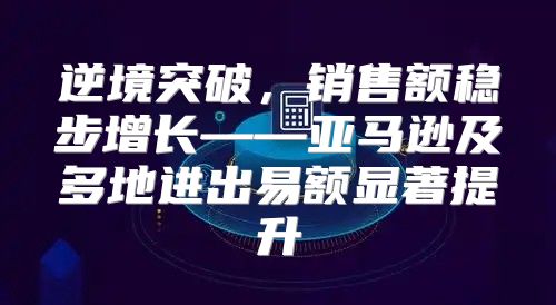 逆境突破，销售额稳步增长——亚马逊及多地进出易额显著提升
